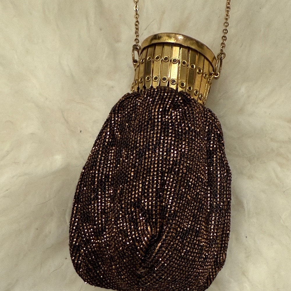 Art Nouveau Gate Top Metallic Thread Beggars Bag